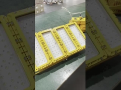 WF2 IP66 Waterproof Convex Glass Shade Explosion-Proof LED Light