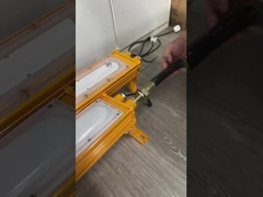 5500K-6500K Atex Led Lighting Explosion Proof Emergency Light SMD2835/3030