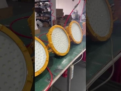 Explosion-Proof Light Ip65 Gas Station Lighting 50w 100w 150w Led Explosion Proof Lamp