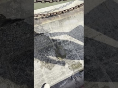 AC85-310V/AC100-277V 130-140LM/W Outdoor Led Street Light For Roadway Garden,Square