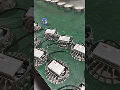 Energy Saving Ip65 Factory Flood  Lamp  Led Explosion Proof Flood Light