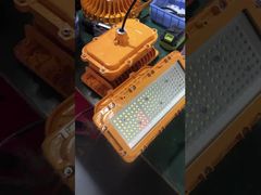 AC85-265V IP66 Explosion Proof Lighting Fixtures Energy Efficiency