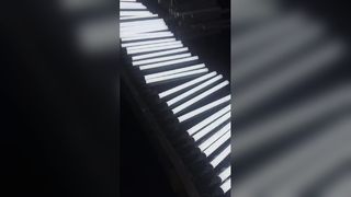 200W Explosion Proof Linear Light with SMD2835 LED and Exd IIC T6-IP65-WF2 Standard for Hazardous Lo