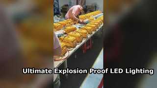 ATEX Approved IP65 Waterproof LED Floodlight with Tempered Glass for  Hazardous Areas