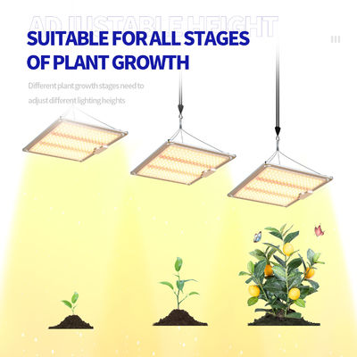 100W Full Spectrum LED Grow Light with 660nm Red Light for Flowering and Fruiting Plant Lamp