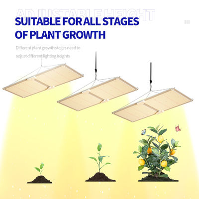200W Full Spectrum Dimmable LED Grow Light T5 Greenhouse Lighting System for Plant Growth