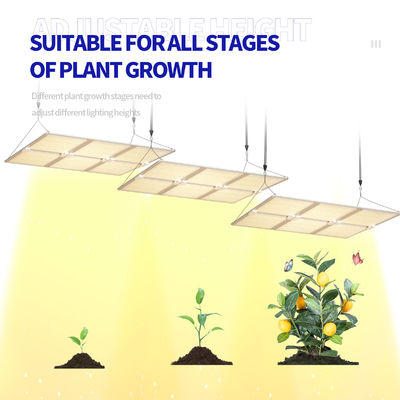 600W Full Spectrum LED Grow Light with Dimmable Function for Optimal Plant Growth