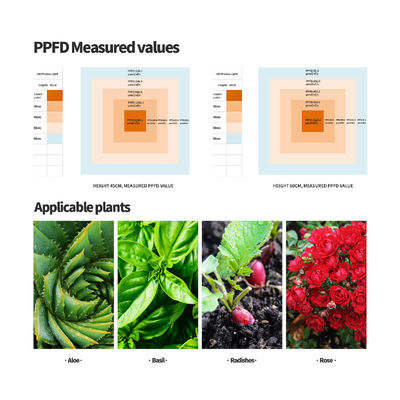 600W Full Spectrum LED Grow Light with Dimmable Function for Optimal Plant Growth