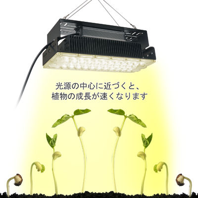 100W Full Spectrum LED Grow Light with SMD3030 LEDs for Indoor Plants and Gardens