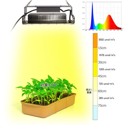 100W Full Spectrum LED Grow Light with SMD3030 LEDs for Indoor Plants and Gardens