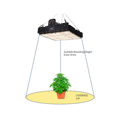 Full Spectrum 250W T5 LED Grow Light with Passive Thermal Management for Indoor Plants