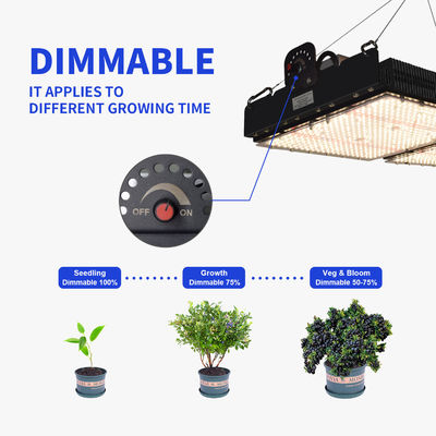 500W LED Grow Light with PPFD Readout and Full Spectrum for Indoor Plants