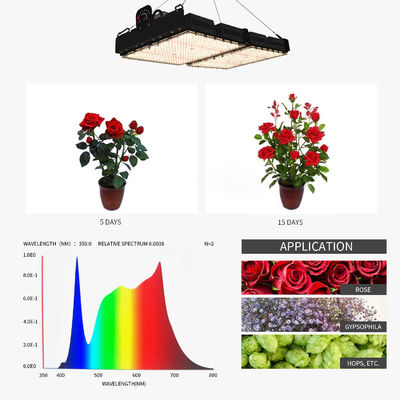 500W LED Grow Light with PPFD Readout and Full Spectrum for Indoor Plants
