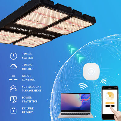 1000W Full Spectrum Dimmable LED Grow Light for Indoor Plants with Timer Control