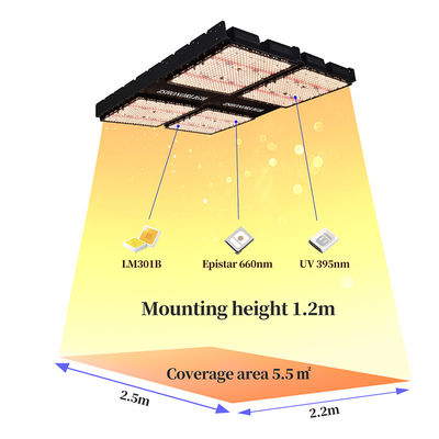 1000W Full Spectrum Dimmable LED Grow Light for Indoor Plants with Timer Control
