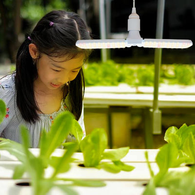 Compact LED Grow Light with Full Spectrum + 660nm and IP68 Waterproof for Indoor Plant Growth