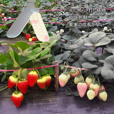 Compact LED Grow Light with Full Spectrum + 660nm and IP68 Waterproof for Indoor Plant Growth