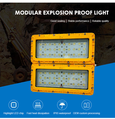 IP65 Outdoor Industrial LED Explosion Proof Lighting with Aluminum Alloy Housing and 100W Power