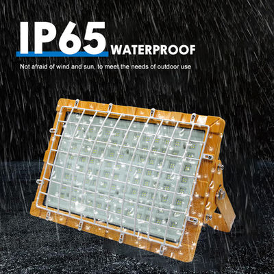 SMD2835/3030 100-110lm/W IP66 LED Explosion Proof Lighting for Factories and Hazardous Areas