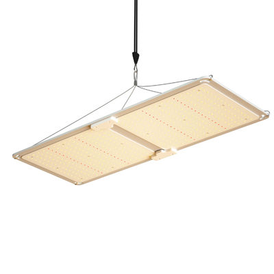 quality  200w LED T5 Grow Lights Greenhouse Lighting System factory