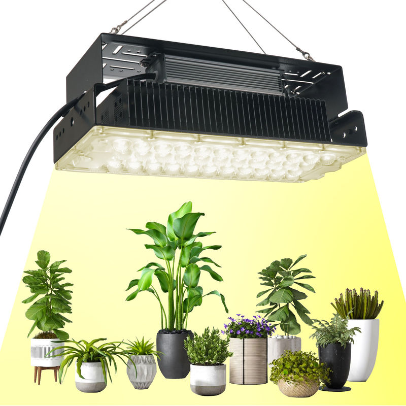 100W Full Spectrum LED Grow Light with SMD3030 LEDs for Indoor Plants and Gardens