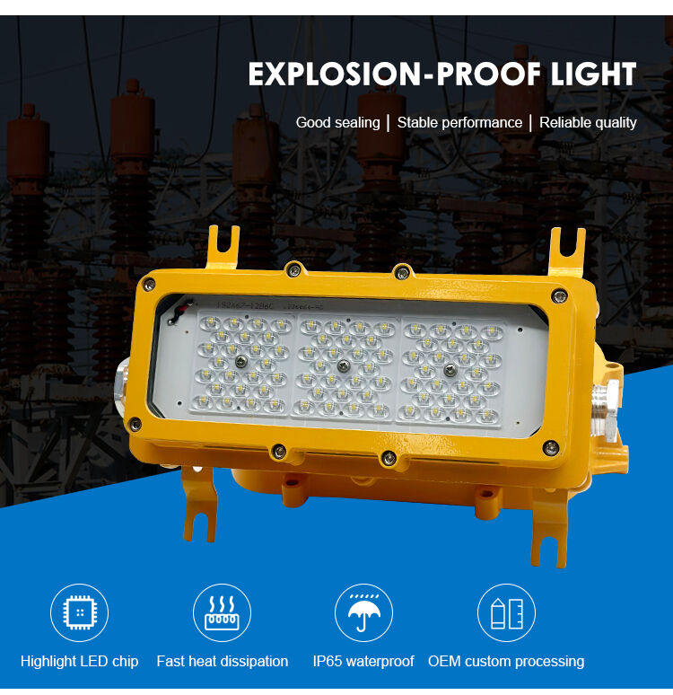 Ip65 Atex Explosion Proof Flood Light 50w Explosion Proof Floodlight
