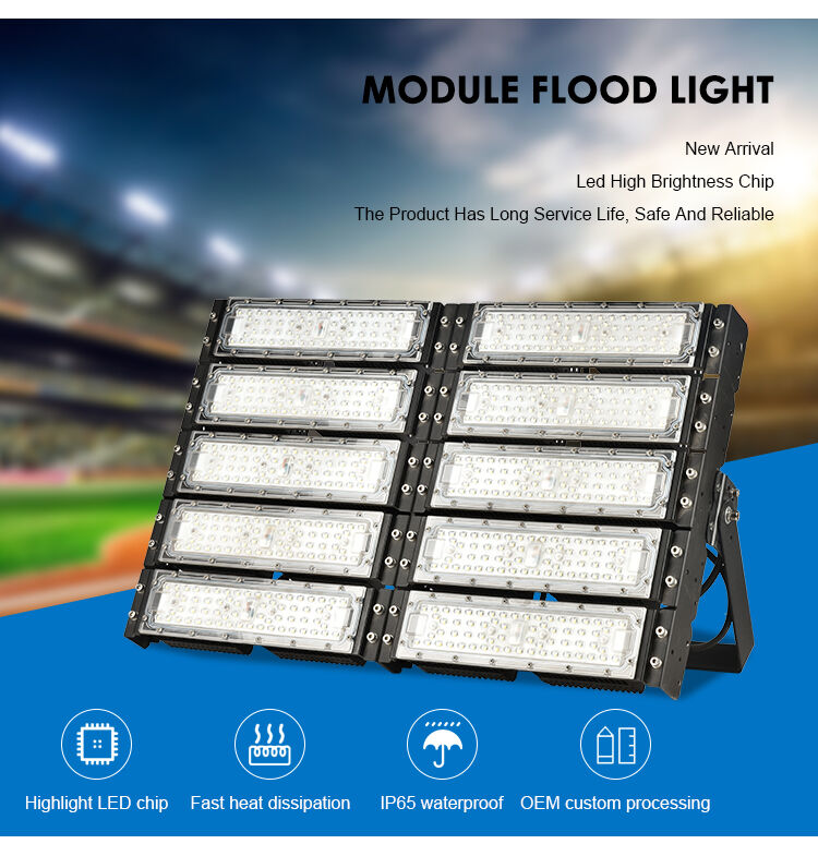 1000W Energy-Efficient IP66 Waterproof LED Stadium Light for Large Arena Coliseum Competitions 5700K