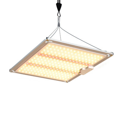 600w HPS 4x4 Grow Light Plant Lamp Promote Flowering And Fruiting