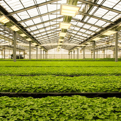 600w HPS 4x4 Grow Light Plant Lamp Promote Flowering And Fruiting