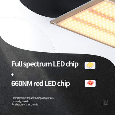 200w LED T5 Grow Lights Greenhouse Lighting System