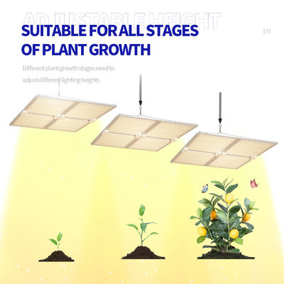 Aluminum 400w Led Grow Light For House Plant SMD2835 Full Spectrum
