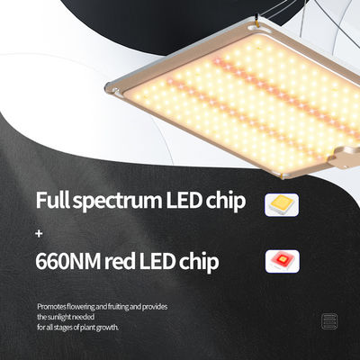 Led Panel 3x3 Grow Light Plant Lamp Light 600w