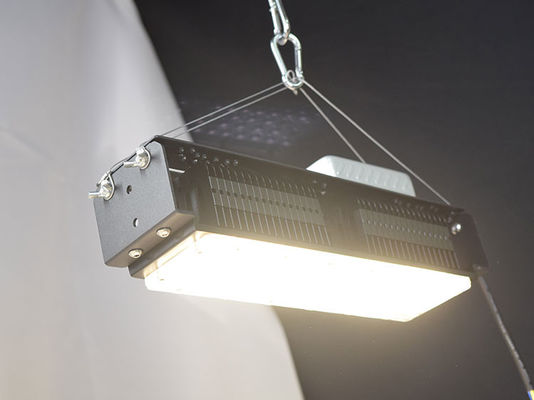 AC85V-265V Indoor Led Grow Lights For House Plants 50W
