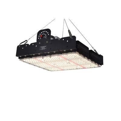 Full Spectrum T5 Led Grow Light For Indoor Plants 250w