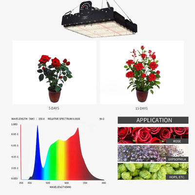 Full Spectrum T5 Led Grow Light For Indoor Plants 250w