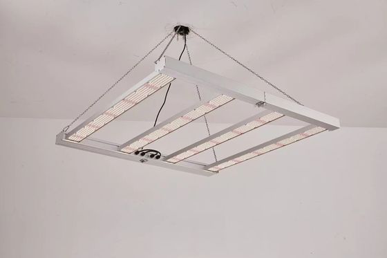 Foldable 4T Led Grow Light 600W 800W For Commercial