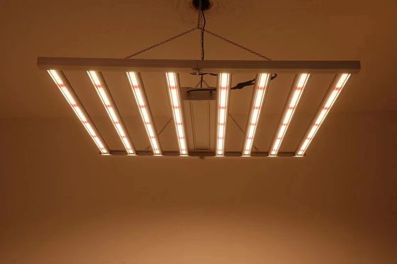 Foldable 8T Greenhouse Grow Lights 800W 1000w Hps