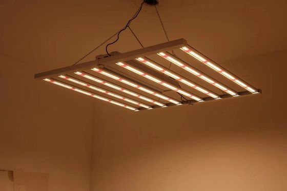 Foldable 8T Greenhouse Grow Lights 800W 1000w Hps