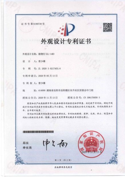 China Zhongshan Rong Fei Lighting Co., Ltd certification